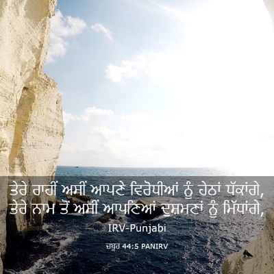 Picture 03 - ਜ਼ਬੂਰ 44:5 PANIRV - ਤੇਰੇ ਰਾਹੀਂ ਅਸੀਂ - Bible Verse Picture