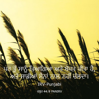 Picture 03 - ਜ਼ਬੂਰ 44:9 PANIRV - ਪਰ ਤੂੰ ਸਾਨੂੰ - Bible Verse Picture