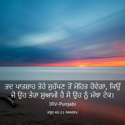 Picture 03 - ਜ਼ਬੂਰ 45:11 PANIRV - ਤਦ ਪਾਤਸ਼ਾਹ ਤੇਰੇ - Bible Verse Picture