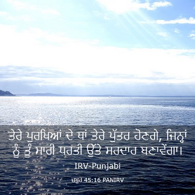 Picture 03 - ਜ਼ਬੂਰ 45:16 PANIRV - ਤੇਰੇ ਪੁਰਖਿਆਂ ਦੇ - Bible Verse Picture