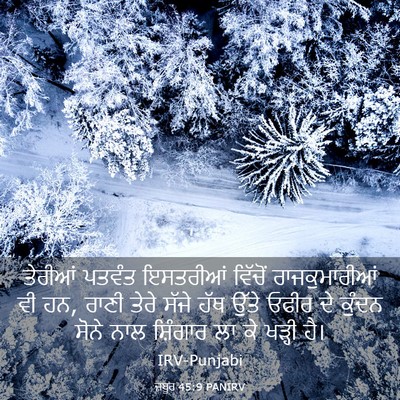 Picture 03 - ਜ਼ਬੂਰ 45:9 PANIRV - ਤੇਰੀਆਂ ਪਤਵੰਤ - Bible Verse Picture