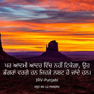 Picture 03 - ਜ਼ਬੂਰ 49:12 PANIRV - ਪਰ ਆਦਮੀ ਆਦਰ ਵਿੱਚ - Bible Verse Picture