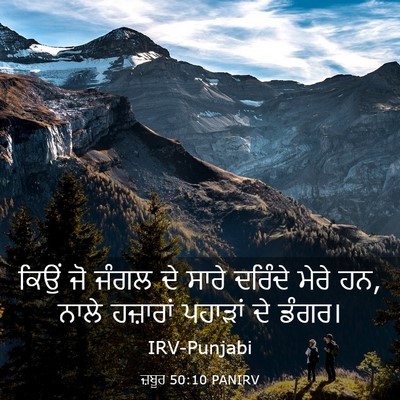 Picture 03 - ਜ਼ਬੂਰ 50:10 PANIRV - ਕਿਉਂ ਜੋ ਜੰਗਲ ਦੇ - Bible Verse Picture