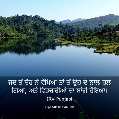 Picture 03 - ਜ਼ਬੂਰ 50:18 PANIRV - ਜਦ ਤੂੰ ਚੋਰ ਨੂੰ - Bible Verse Picture