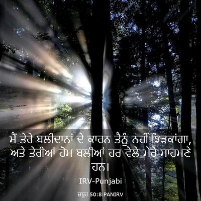 Picture 03 - ਜ਼ਬੂਰ 50:8 PANIRV - ਮੈਂ ਤੇਰੇ ਬਲੀਦਾਨਾਂ - Bible Verse Picture