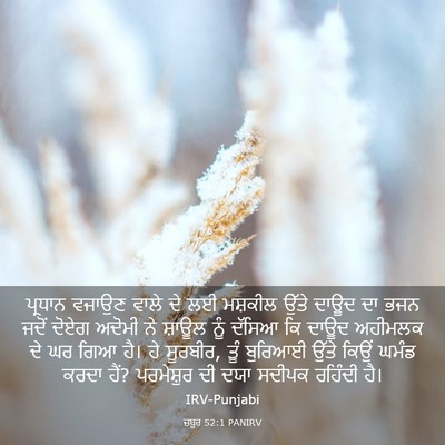 Picture 03 - ਜ਼ਬੂਰ 52:1 PANIRV - ਪ੍ਰਧਾਨ ਵਜਾਉਣ ਵਾਲੇ - Bible Verse Picture