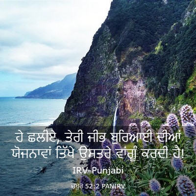 Picture 03 - ਜ਼ਬੂਰ 52:2 PANIRV - ਹੇ ਛਲੀਏ, ਤੇਰੀ ਜੀਭ - Bible Verse Picture