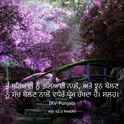 Picture 03 - ਜ਼ਬੂਰ 52:3 PANIRV - ਤੂੰ ਬੁਰਿਆਈ ਨੂੰ - Bible Verse Picture