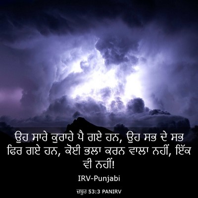 Picture 03 - ਜ਼ਬੂਰ 53:3 PANIRV - ਉਹ ਸਾਰੇ ਕੁਰਾਹੇ ਪੈ - Bible Verse Picture