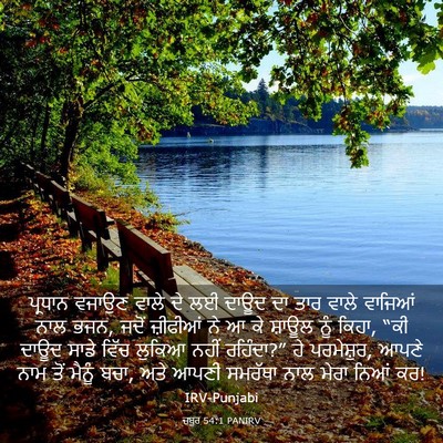 Picture 03 - ਜ਼ਬੂਰ 54:1 PANIRV - ਪ੍ਰਧਾਨ ਵਜਾਉਣ ਵਾਲੇ - Bible Verse Picture