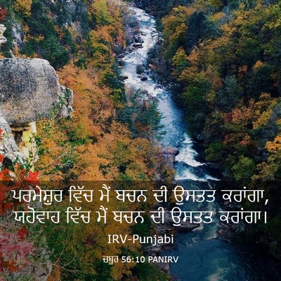 Picture 03 - ਜ਼ਬੂਰ 56:10 PANIRV - ਪਰਮੇਸ਼ੁਰ ਵਿੱਚ ਮੈਂ - Bible Verse Picture