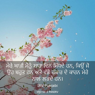 Picture 03 - ਜ਼ਬੂਰ 56:2 PANIRV - ਮੇਰੇ ਘਾਤੀ ਮੈਨੂੰ - Bible Verse Picture