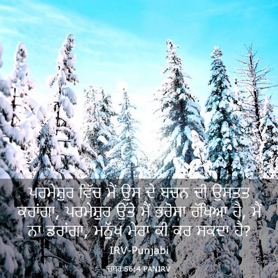Picture 03 - ਜ਼ਬੂਰ 56:4 PANIRV - ਪਰਮੇਸ਼ੁਰ ਵਿੱਚ ਮੈਂ - Bible Verse Picture
