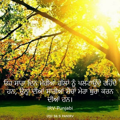Picture 03 - ਜ਼ਬੂਰ 56:5 PANIRV - ਓਹ ਸਾਰਾ ਦਿਨ ਮੇਰੀਆਂ - Bible Verse Picture