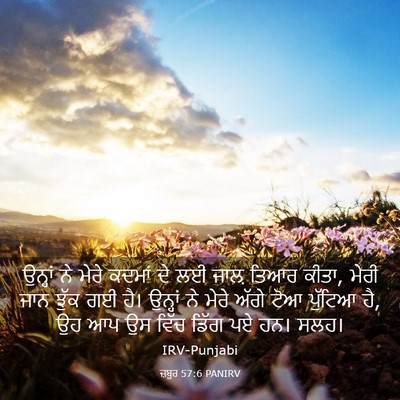 Picture 03 - ਜ਼ਬੂਰ 57:6 PANIRV - ਉਨ੍ਹਾਂ ਨੇ ਮੇਰੇ - Bible Verse Picture