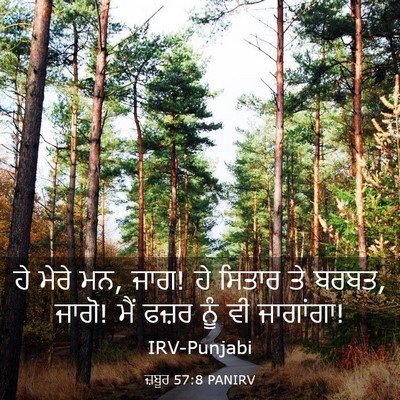 Picture 03 - ਜ਼ਬੂਰ 57:8 PANIRV - ਹੇ ਮੇਰੇ ਮਨ, ਜਾਗ! ਹੇ - Bible Verse Picture