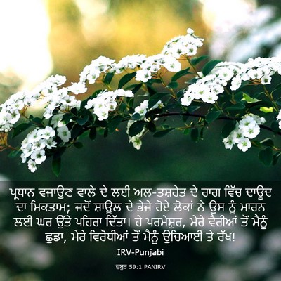 Picture 03 - ਜ਼ਬੂਰ 59:1 PANIRV - ਪ੍ਰਧਾਨ ਵਜਾਉਣ ਵਾਲੇ - Bible Verse Picture