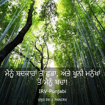 Picture 03 - ਜ਼ਬੂਰ 59:2 PANIRV - ਮੈਨੂੰ ਬਦਕਾਰਾਂ ਤੋਂ - Bible Verse Picture