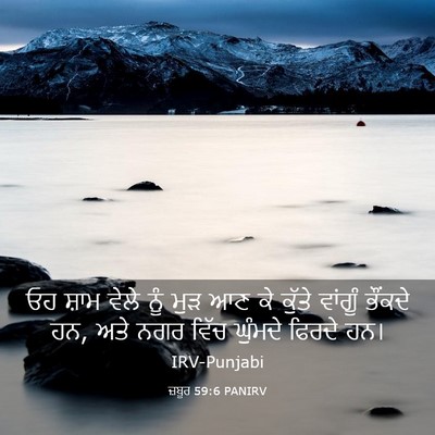 Picture 03 - ਜ਼ਬੂਰ 59:6 PANIRV - ਓਹ ਸ਼ਾਮ ਵੇਲੇ ਨੂੰ - Bible Verse Picture