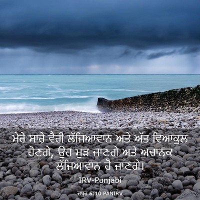 Picture 03 - ਜ਼ਬੂਰ 6:10 PANIRV - ਮੇਰੇ ਸਾਰੇ ਵੈਰੀ - Bible Verse Picture