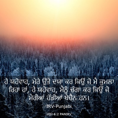 Picture 03 - ਜ਼ਬੂਰ 6:2 PANIRV - ਹੇ ਯਹੋਵਾਹ, ਮੇਰੇ - Bible Verse Picture