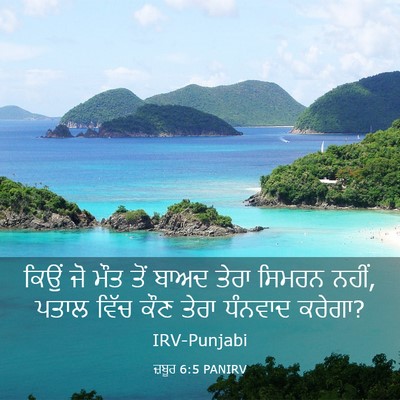 Picture 03 - ਜ਼ਬੂਰ 6:5 PANIRV - ਕਿਉਂ ਜੋ ਮੌਤ ਤੋਂ - Bible Verse Picture