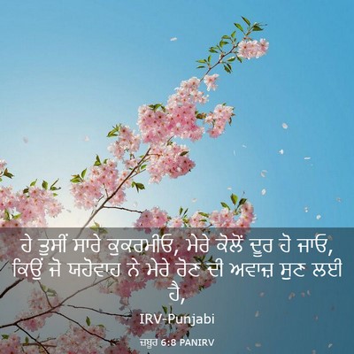 Picture 03 - ਜ਼ਬੂਰ 6:8 PANIRV - ਹੇ ਤੁਸੀਂ ਸਾਰੇ - Bible Verse Picture