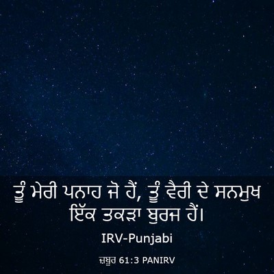 Picture 03 - ਜ਼ਬੂਰ 61:3 PANIRV - ਤੂੰ ਮੇਰੀ ਪਨਾਹ ਜੋ - Bible Verse Picture