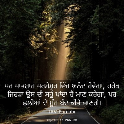Picture 03 - ਜ਼ਬੂਰ 63:11 PANIRV - ਪਰ ਪਾਤਸ਼ਾਹ - Bible Verse Picture
