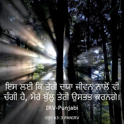 Picture 03 - ਜ਼ਬੂਰ 63:3 PANIRV - ਇਸ ਲਈ ਕਿ ਤੇਰੀ ਦਯਾ - Bible Verse Picture