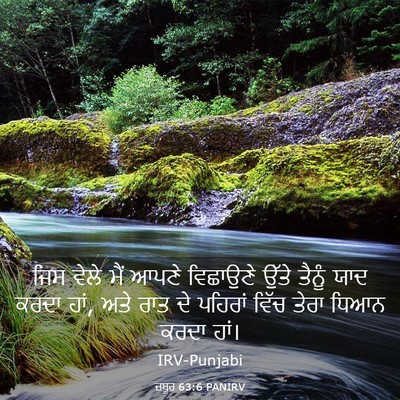 Picture 03 - ਜ਼ਬੂਰ 63:6 PANIRV - ਜਿਸ ਵੇਲੇ ਮੈਂ ਆਪਣੇ - Bible Verse Picture
