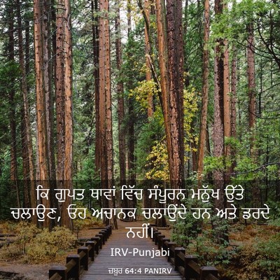 Picture 03 - ਜ਼ਬੂਰ 64:4 PANIRV - ਕਿ ਗੁਪਤ ਥਾਵਾਂ ਵਿੱਚ - Bible Verse Picture