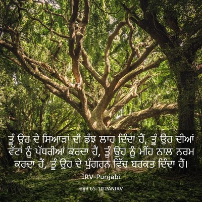 Picture 03 - ਜ਼ਬੂਰ 65:10 PANIRV - ਤੂੰ ਉਹ ਦੇ ਸਿਆੜਾਂ ਦੀ - Bible Verse Picture
