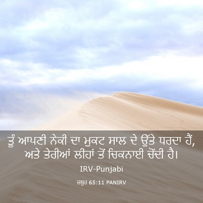 Picture 03 - ਜ਼ਬੂਰ 65:11 PANIRV - ਤੂੰ ਆਪਣੀ ਨੇਕੀ ਦਾ - Bible Verse Picture