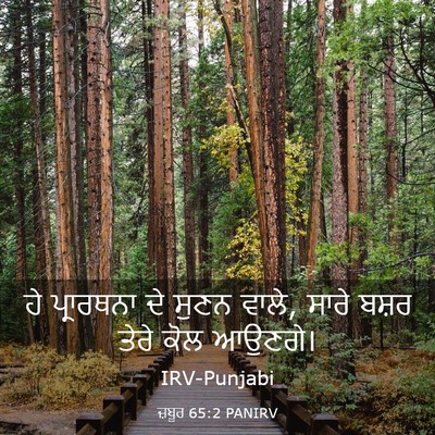 Picture 03 - ਜ਼ਬੂਰ 65:2 PANIRV - ਹੇ ਪ੍ਰਾਰਥਨਾ ਦੇ - Bible Verse Picture