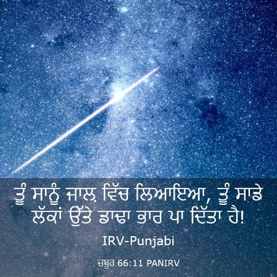Picture 03 - ਜ਼ਬੂਰ 66:11 PANIRV - ਤੂੰ ਸਾਨੂੰ ਜਾਲ਼ - Bible Verse Picture
