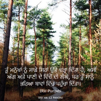 Picture 03 - ਜ਼ਬੂਰ 66:12 PANIRV - ਤੂੰ ਮਨੁੱਖਾਂ ਨੂੰ - Bible Verse Picture