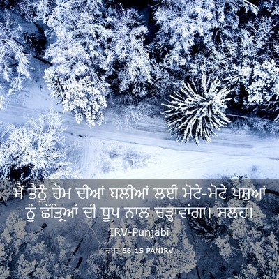 Picture 03 - ਜ਼ਬੂਰ 66:15 PANIRV - ਮੈਂ ਤੈਨੂੰ ਹੋਮ ਦੀਆਂ - Bible Verse Picture