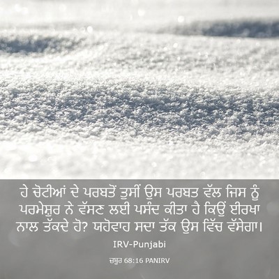 Picture 03 - ਜ਼ਬੂਰ 68:16 PANIRV - ਹੇ ਚੋਟੀਆਂ ਦੇ - Bible Verse Picture