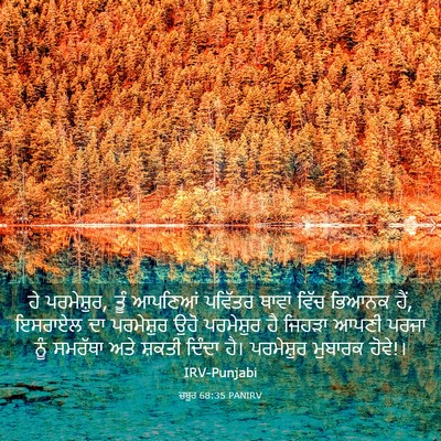 Picture 03 - ਜ਼ਬੂਰ 68:35 PANIRV - ਹੇ ਪਰਮੇਸ਼ੁਰ, ਤੂੰ - Bible Verse Picture