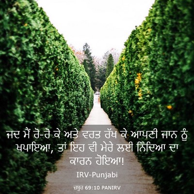 Picture 03 - ਜ਼ਬੂਰ 69:10 PANIRV - ਜਦ ਮੈਂ ਰੋ-ਰੋ ਕੇ ਅਤੇ - Bible Verse Picture