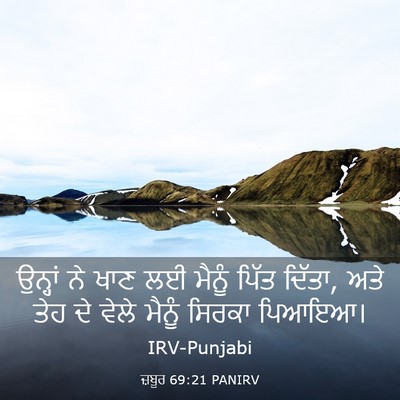 Picture 03 - ਜ਼ਬੂਰ 69:21 PANIRV - ਉਨ੍ਹਾਂ ਨੇ ਖਾਣ ਲਈ - Bible Verse Picture