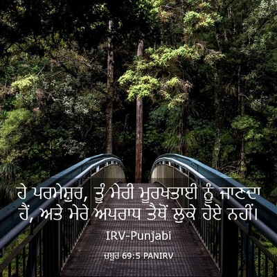 Picture 03 - ਜ਼ਬੂਰ 69:5 PANIRV - ਹੇ ਪਰਮੇਸ਼ੁਰ, ਤੂੰ - Bible Verse Picture