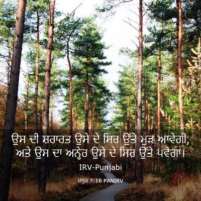 Picture 03 - ਜ਼ਬੂਰ 7:16 PANIRV - ਉਸ ਦੀ ਸ਼ਰਾਰਤ ਉਸੇ ਦੇ - Bible Verse Picture