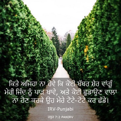Picture 03 - ਜ਼ਬੂਰ 7:2 PANIRV - ਕਿਤੇ ਅਜਿਹਾ ਨਾ ਹੋਵੇ - Bible Verse Picture