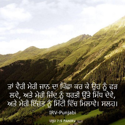 Picture 03 - ਜ਼ਬੂਰ 7:5 PANIRV - ਤਾਂ ਵੈਰੀ ਮੇਰੀ ਜਾਨ - Bible Verse Picture