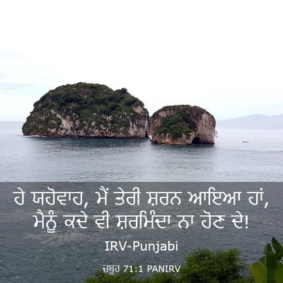 Picture 03 - ਜ਼ਬੂਰ 71:1 PANIRV - ਹੇ ਯਹੋਵਾਹ, ਮੈਂ ਤੇਰੀ - Bible Verse Picture