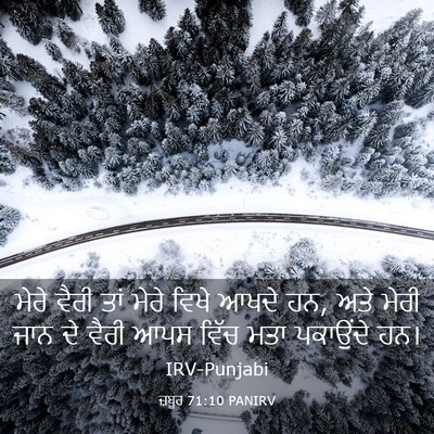 Picture 03 - ਜ਼ਬੂਰ 71:10 PANIRV - ਮੇਰੇ ਵੈਰੀ ਤਾਂ ਮੇਰੇ - Bible Verse Picture
