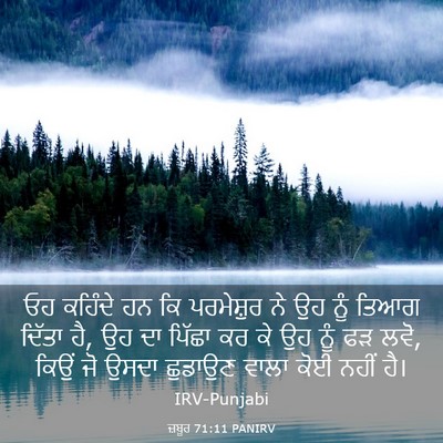 Picture 03 - ਜ਼ਬੂਰ 71:11 PANIRV - ਓਹ ਕਹਿੰਦੇ ਹਨ ਕਿ - Bible Verse Picture
