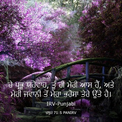 Picture 03 - ਜ਼ਬੂਰ 71:5 PANIRV - ਹੇ ਪ੍ਰਭੂ ਯਹੋਵਾਹ, - Bible Verse Picture